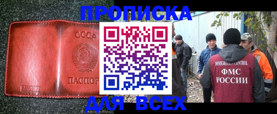 временная регистрация поиск в Курской области